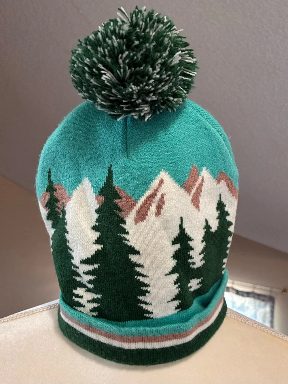 NPS Junior Ranger Mountain Scene Pom Pom Beanie in Teal & Forest Green